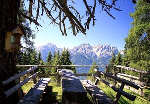 Un banco de madera y una mesa de picnic en un área boscosa, con vistas a la montaña.