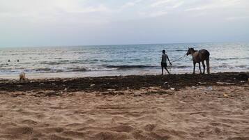 Praia