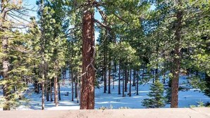 A snow-covered forest with a yellow bench in the foreground. - 3336 Pine Hill Road 3 Bedroom Home (South Lake Tahoe)