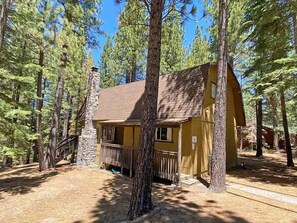 Une cabane avec une cheminée en pierre, une terrasse en bois et entourée de grands pins.