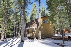 A small yellow building surrounded by tall pine trees.