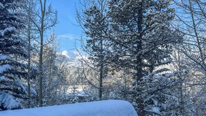 A snowy landscape with trees and a mountain in the background. - Walk to Ski Lift: Breck Condo w/ Hot Tub (Breckenridge)