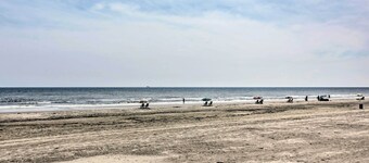 비치 액세스가 가능한 갈베스턴 콘도, 무디 가든 근처