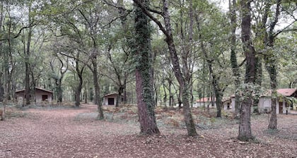 Gites au Coeur de la Forêt. A Moins D'1km de Notre Parc D'activités de Plein air