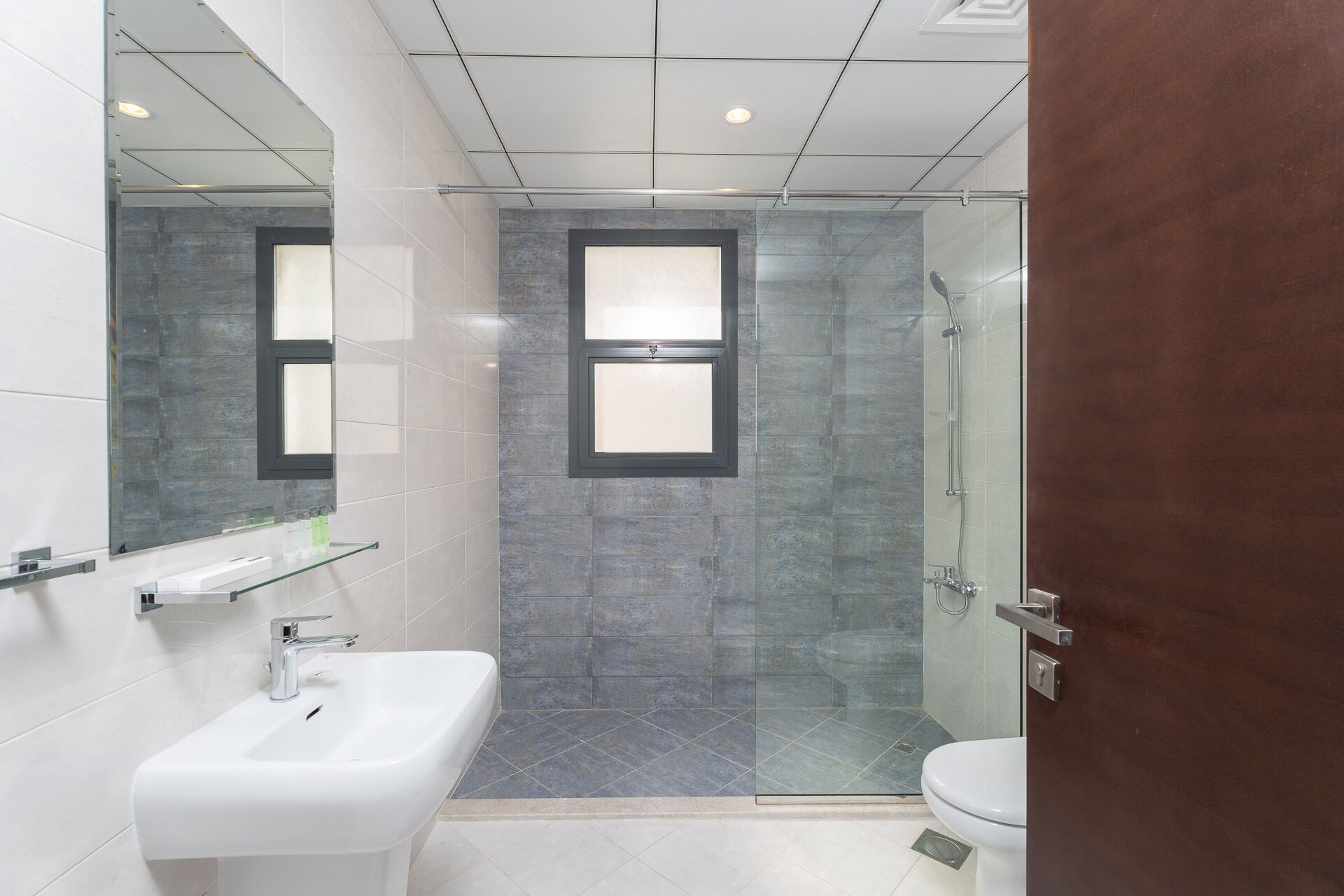 A modern bathroom with a glass shower enclosure, a white sink, and a toilet.