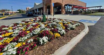 Cozy 1-bedroom unit in amazing Alexandria