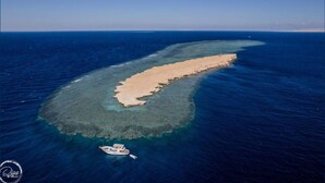 Unclassified image, 5 of 75, button - Swiss Wellness Dive & Spa Hotel (Hurghada)