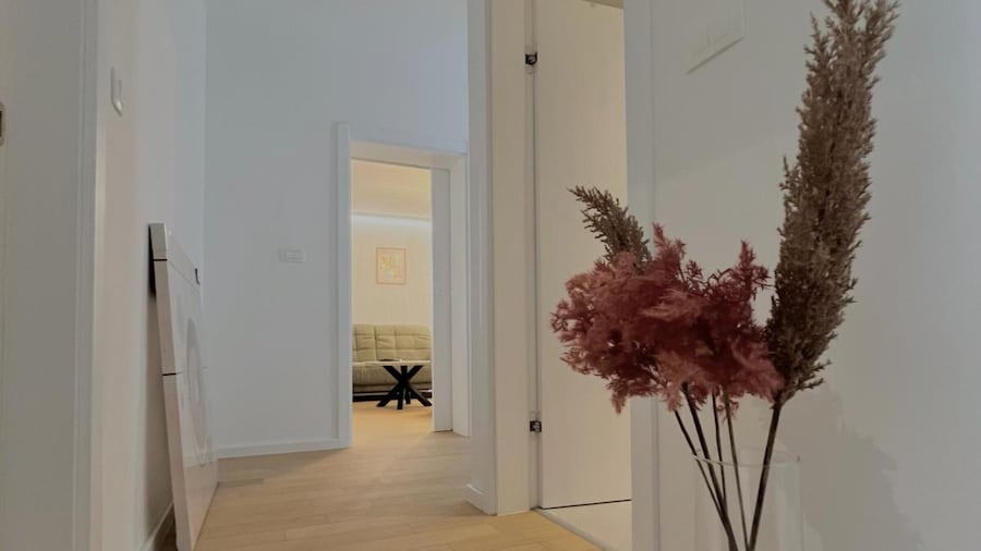 Premium Suite Anemar