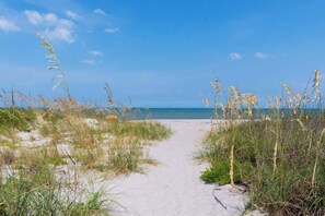A sandy beach path leading to the sea with tall grasses on either side. - Fillmore Unit 14 | 1BR/1BA (Cape Canaveral)