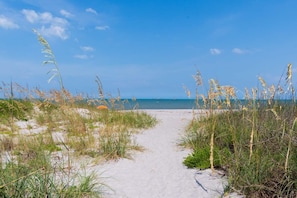 A sandy beach path leading to the ocean, surrounded by tall grasses and dunes. - Fillmore Unit 14 (Cape Canaveral)