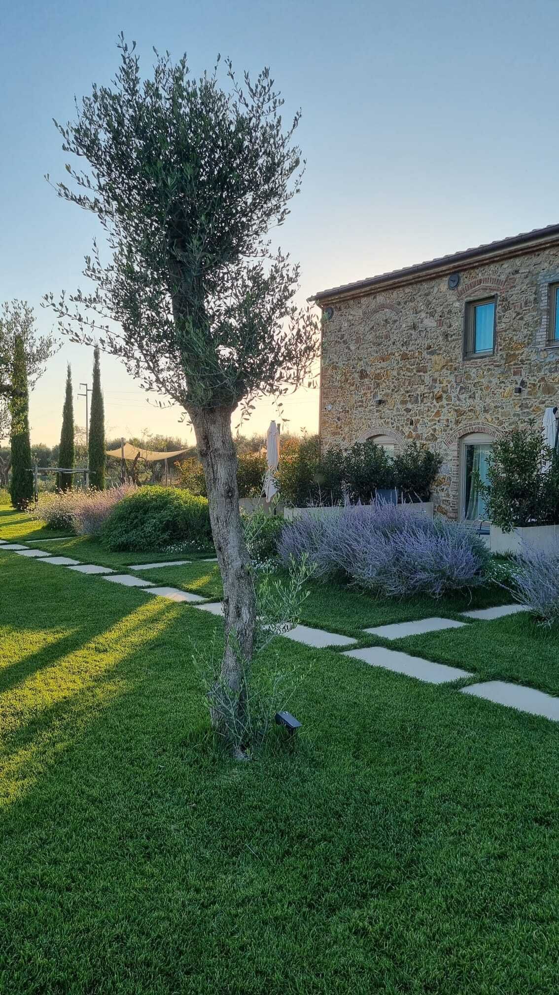 A stone building with a garden featuring a tree and lavender plants.