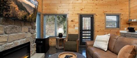 Télévision, cheminée, espaces bureaux