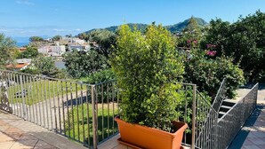 A balcony with a potted plant, a metal railing, and a view of a hillside with buildings. - VILLA NOLELU - vacation home with large panoramic terrace (Barano D'ischia)