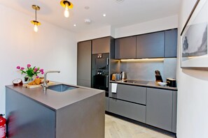 House | 1 bedroom - 1-bed Executive Apt 102 (London)
