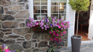 A stone building with a window, a hanging flower basket with pink and purple flowers, and a potted plant. - Ginentonic Cottage (Helston)