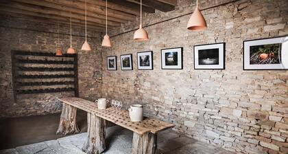 Venez Passer un Séjour Oenotouristique en Bourgogne !