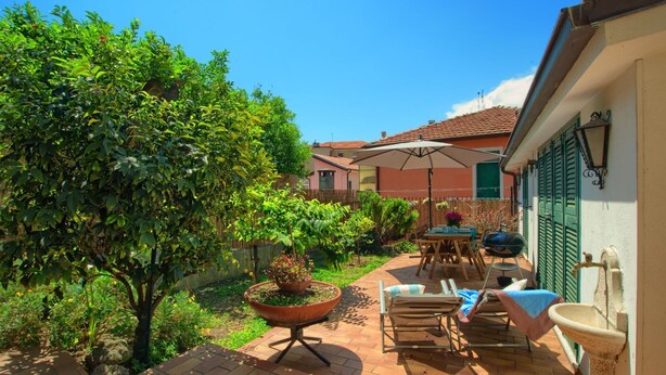 A patio area with a table and chairs, a large potted plant, and a hanging chair.