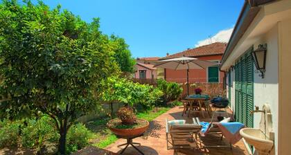 House near downtown with garden box and wi-fi