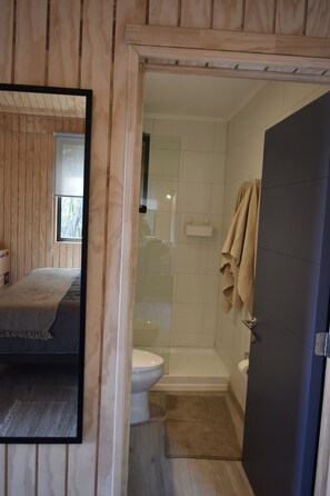 A bathroom with a shower, toilet, and a mirror.