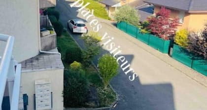 Wunderschönes renoviertes Duplex-Apartment mit Seeblick in Evian für 8 Personen