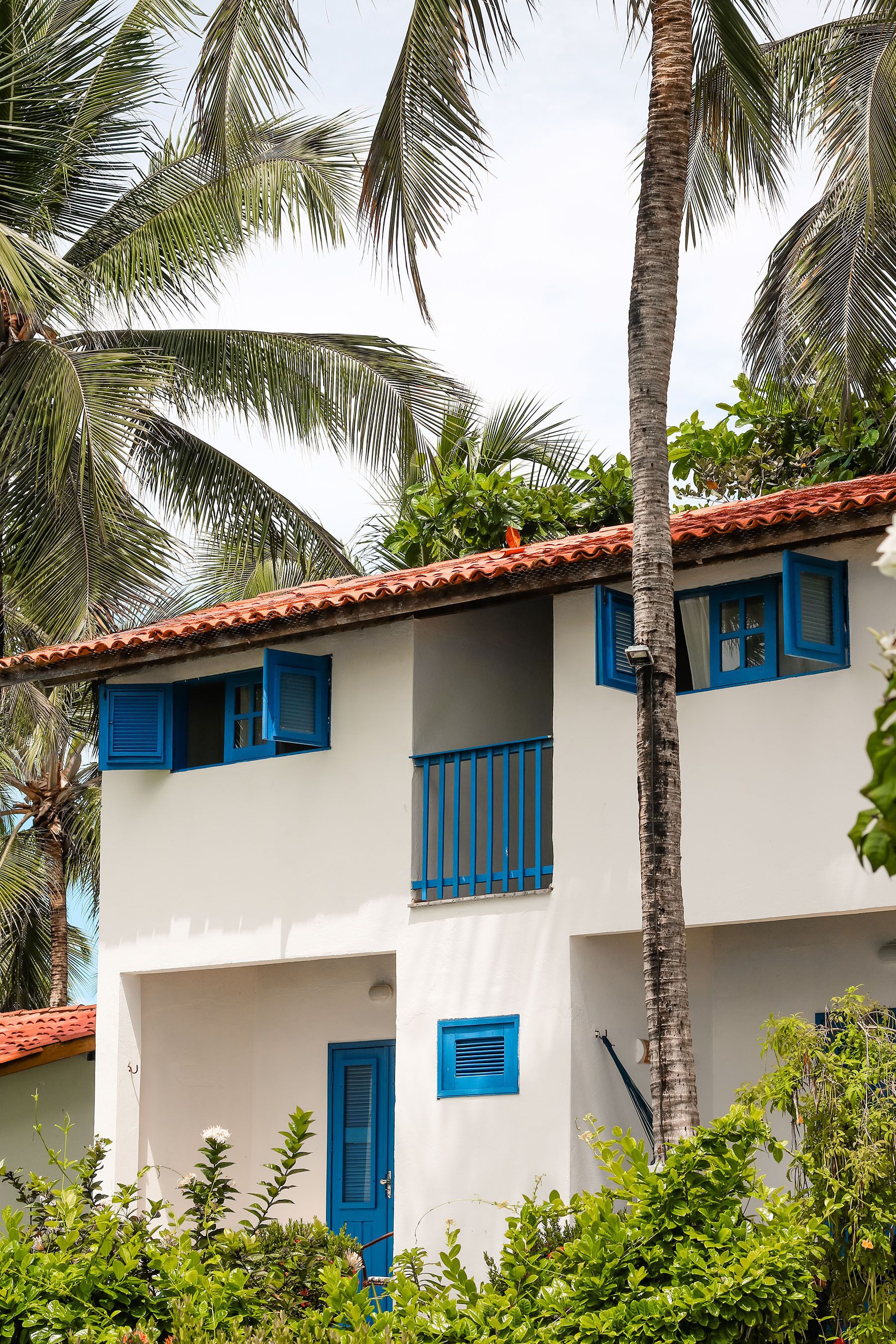 A two-story building with white walls and blue shutters, surrounded by lush greenery and palm trees.