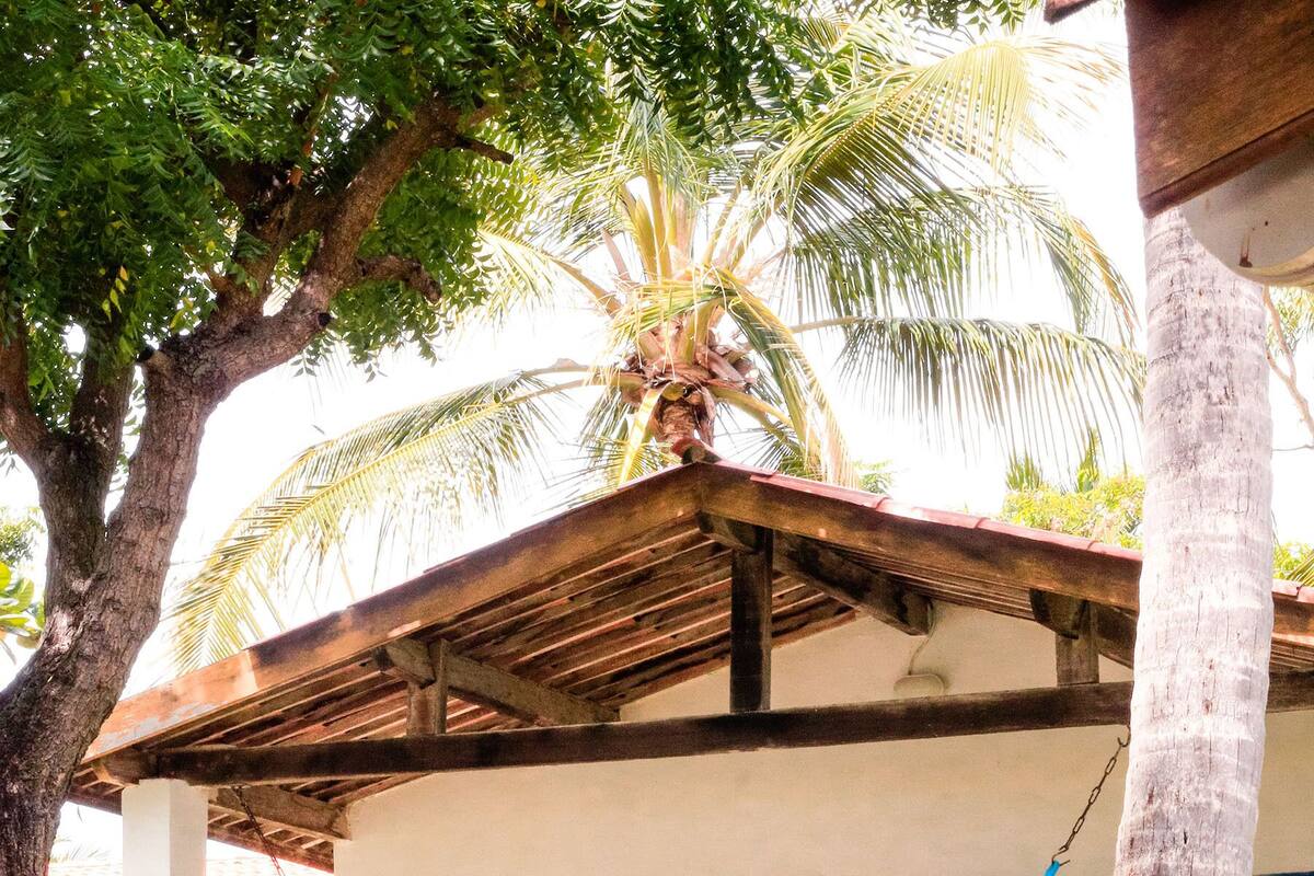 Un edificio blanco con contraventanas azules, una hamaca y una palmera.