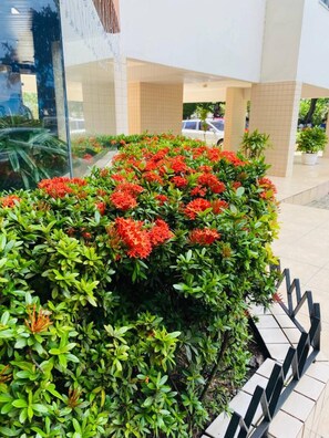 Details aan de buitenkant