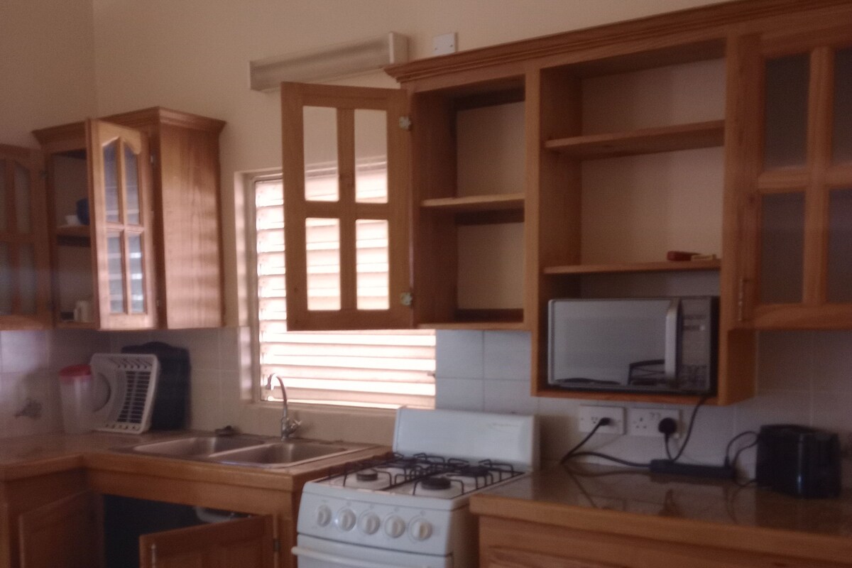 Full-size fridge, microwave, oven, toaster