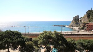 A coastal view with a beach, a pier, and buildings on a hillside. - Virginia House - CITRA 011019-LT-0354 (Monterosso al Mare)