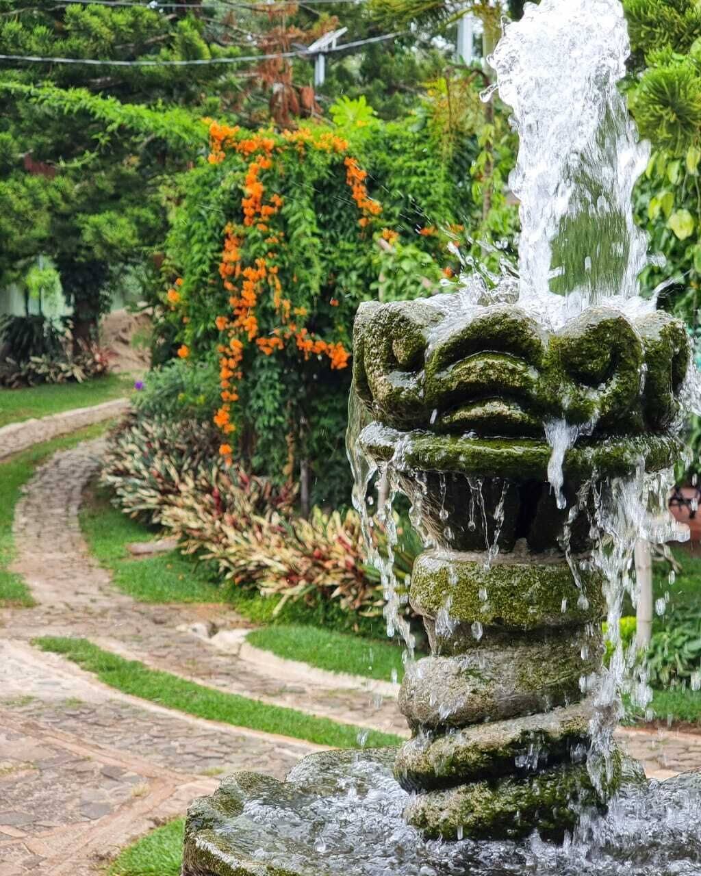 A stone fountain with water spouting from its center, surrounded by lush greenery and orange flowers.
