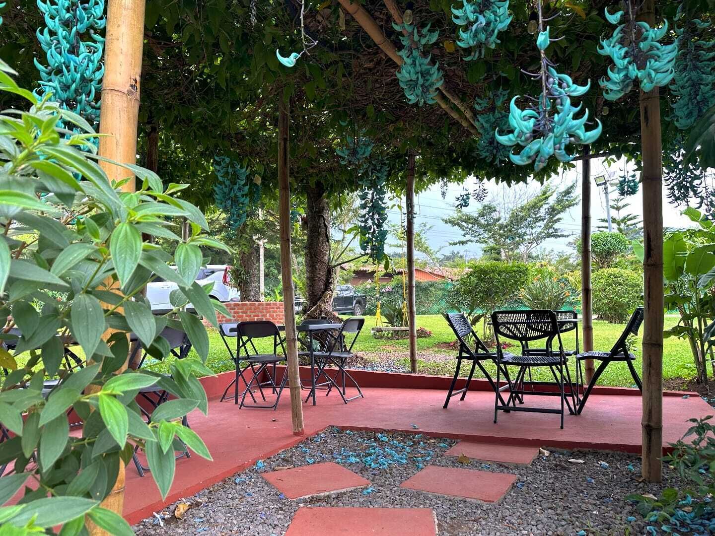 An outdoor seating area with tables and chairs, surrounded by greenery and trees.
