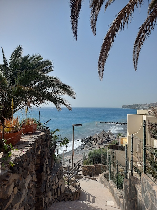 A coastal view with a stone wall, palm trees, and a beach with a fence.