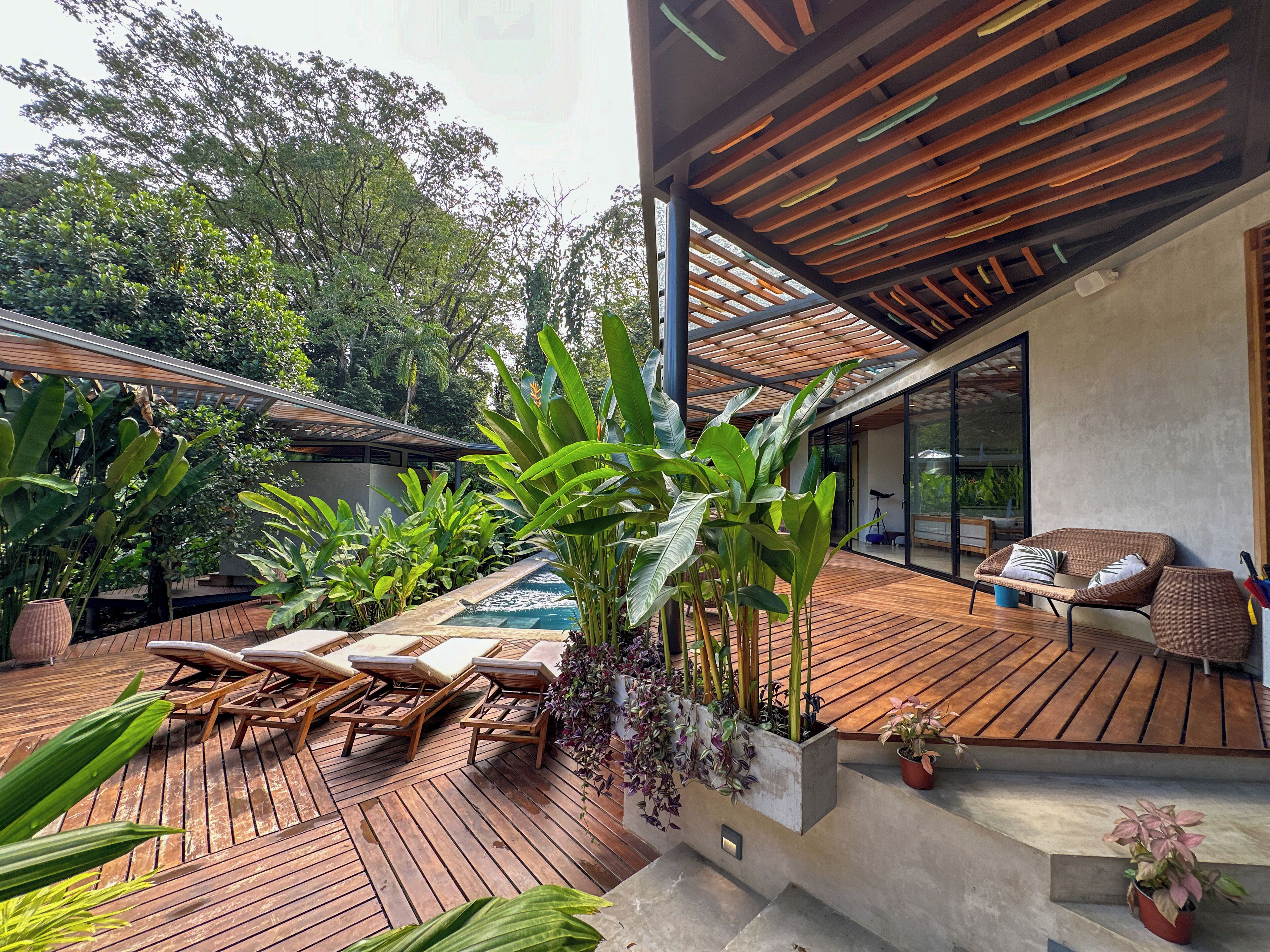 Una terraza de madera con sillones de descanso, una piscina pequeña y exuberante vegetación.