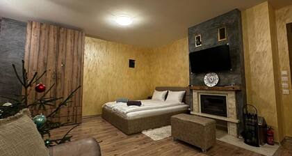 ĐпаŃŃĐ°ĐŒĐ”ĐœŃĐž Đž ŃŃаО за ĐłĐŸŃŃĐž "ĐлДĐșŃ" Deluxe apartment #5