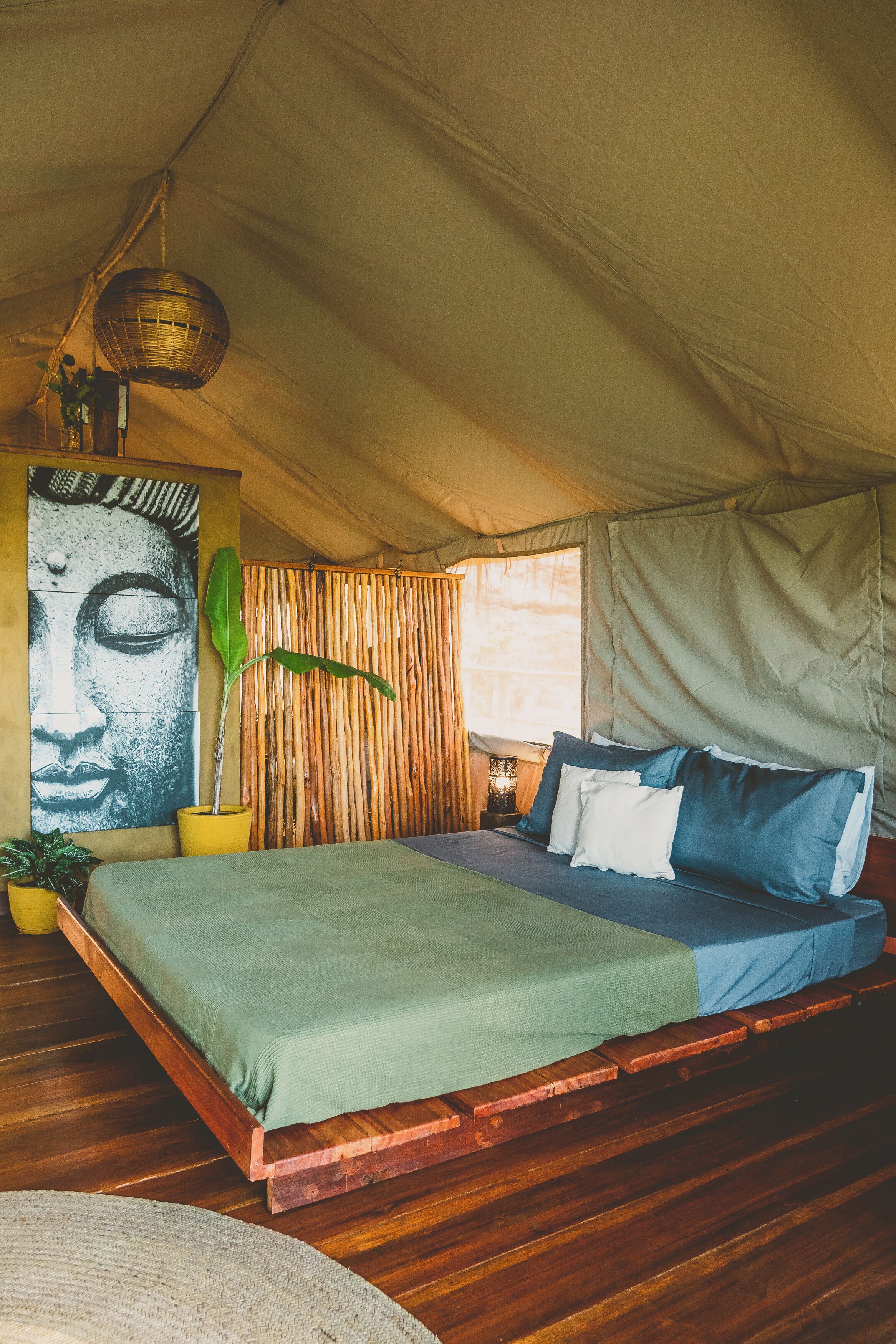 A tented room with a bed, a large Buddha painting, a potted plant, and a hanging light fixture.