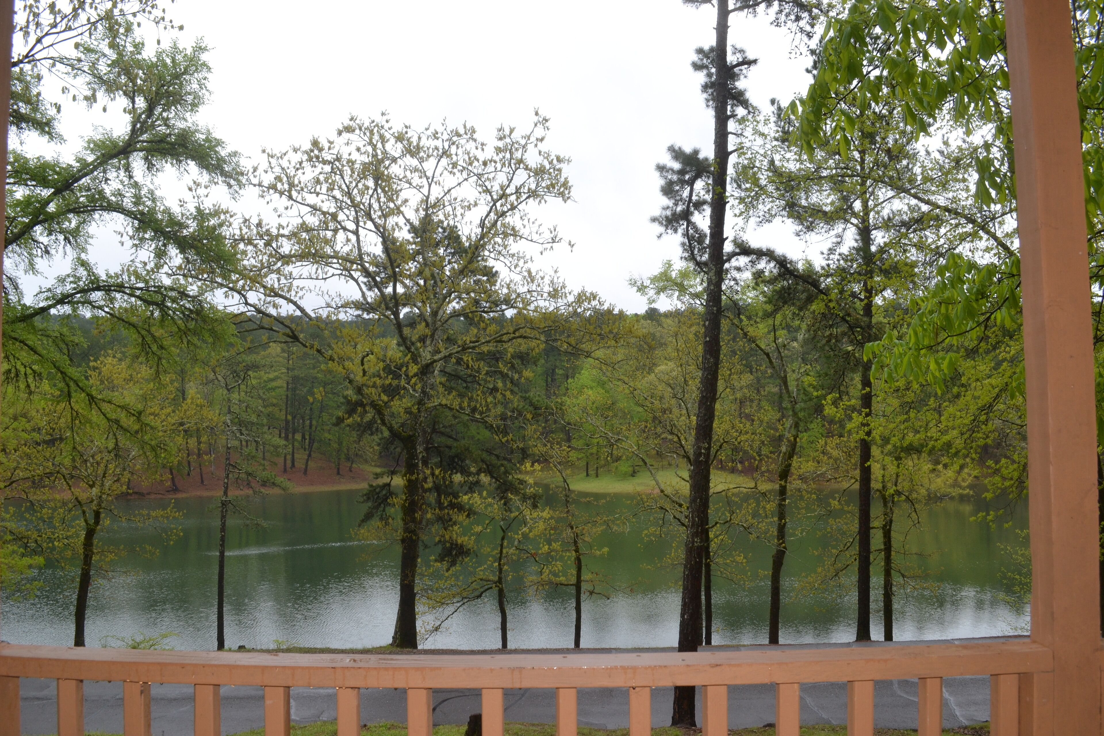 #3 Aquaholic | Lake view