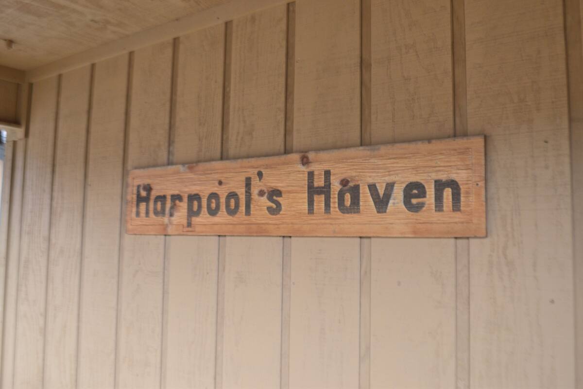 Ein hölzernes Schild mit der Aufschrift 'Harpool's Haven' an einer Holzwand.