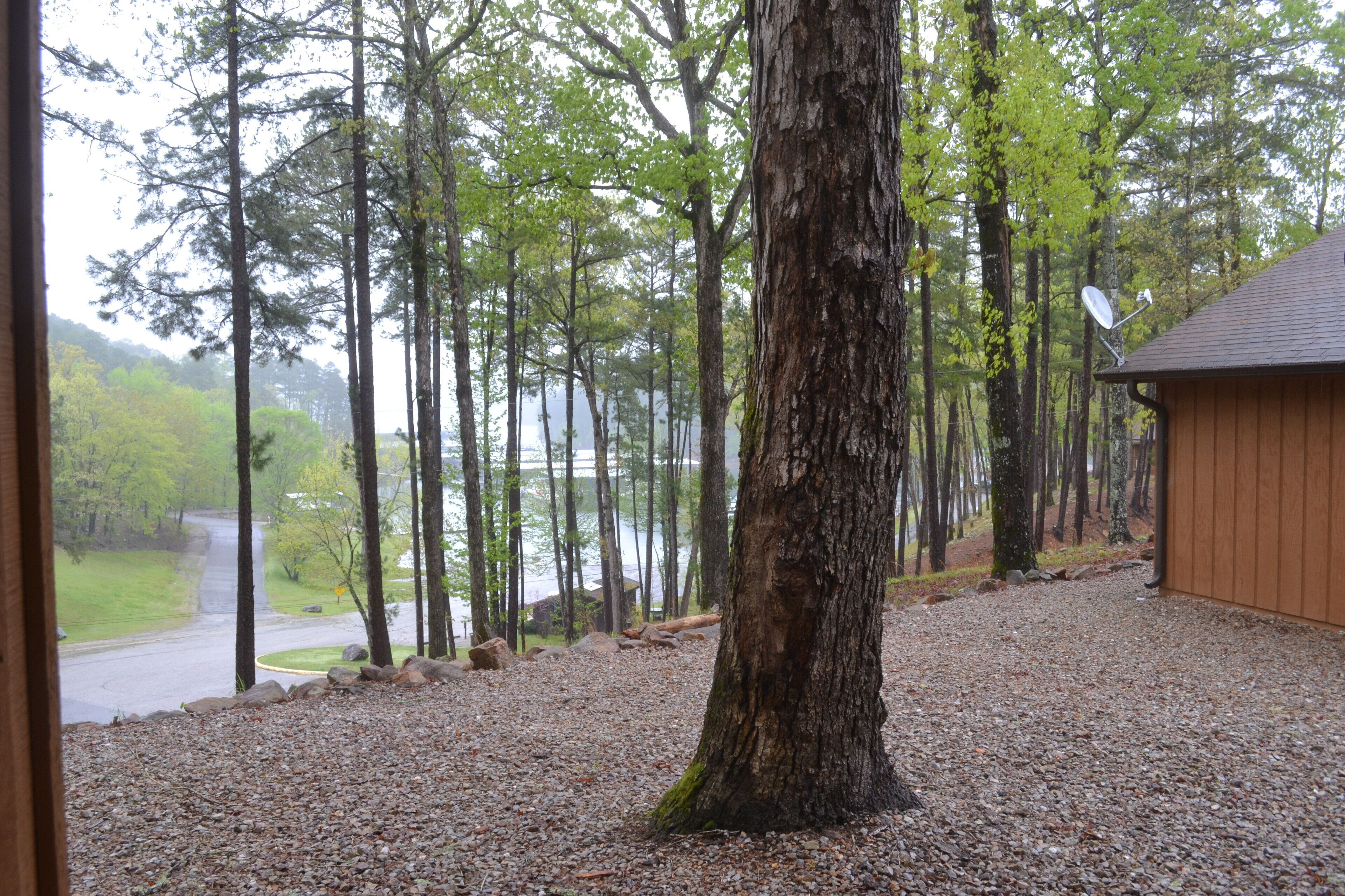 A view of a forested area with a gravel path leading to a building with a sloped roof.