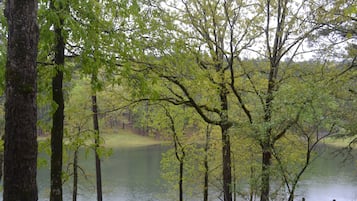 A serene lakeside view with tall trees and a calm water body.