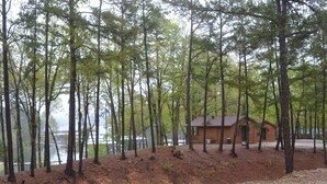 Una cabaña junto a un lago rodeada de árboles altos.