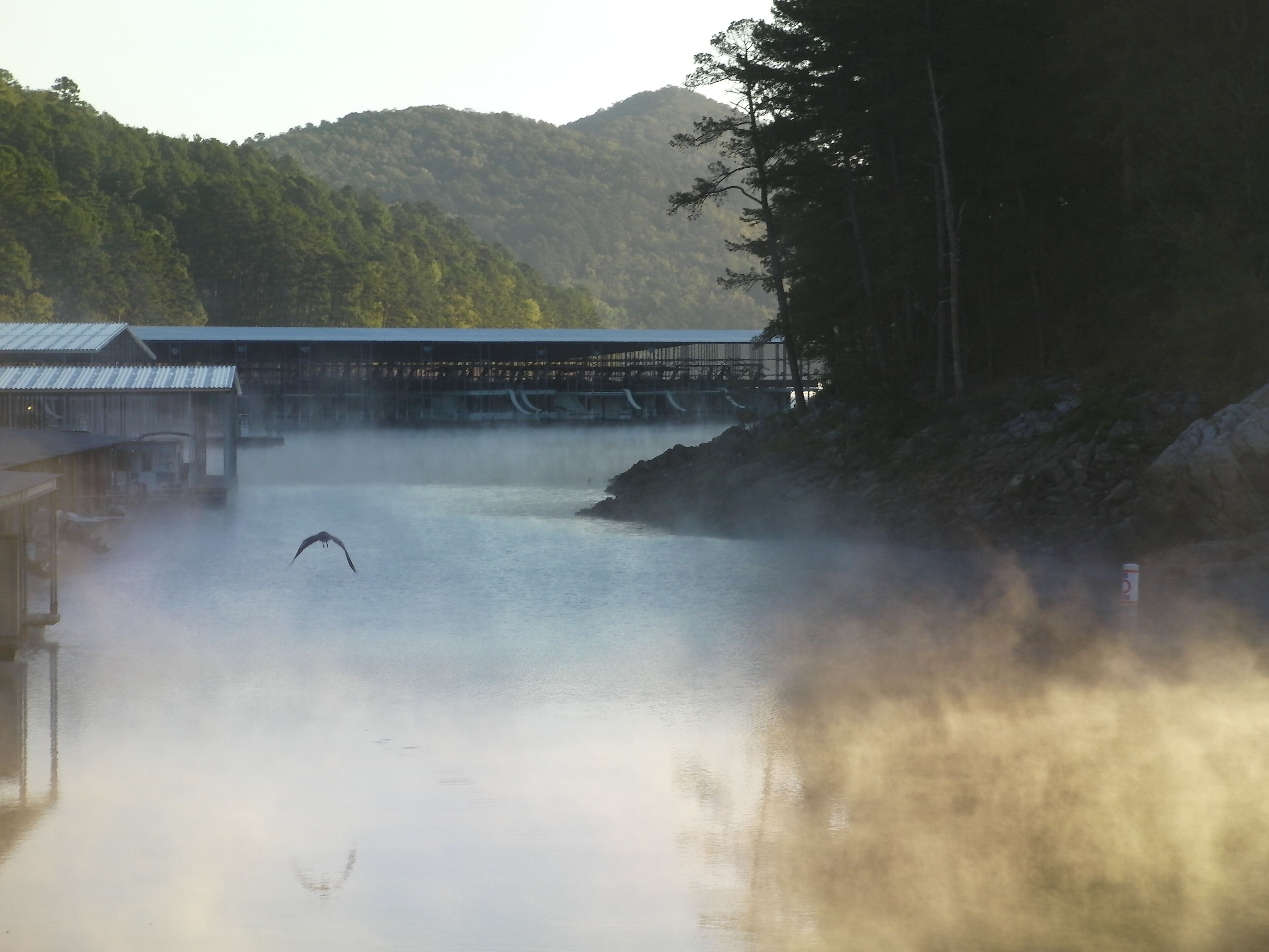 A river with a bridge, buildings, and a forested hillside.
