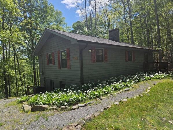 Unclassified image, 1 of 35, button