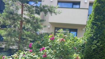 Detalhe da fachada