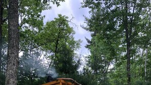 Une cabane en bois avec un petit porche, entourée d’arbres et bordée d’un chemin de gravier.