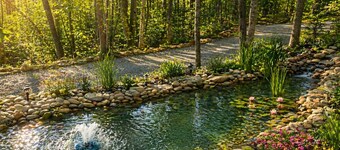 Cozy Log cabin tucked away in the Smokey Mountain, Pet friendly, Sauna, Hot Tub