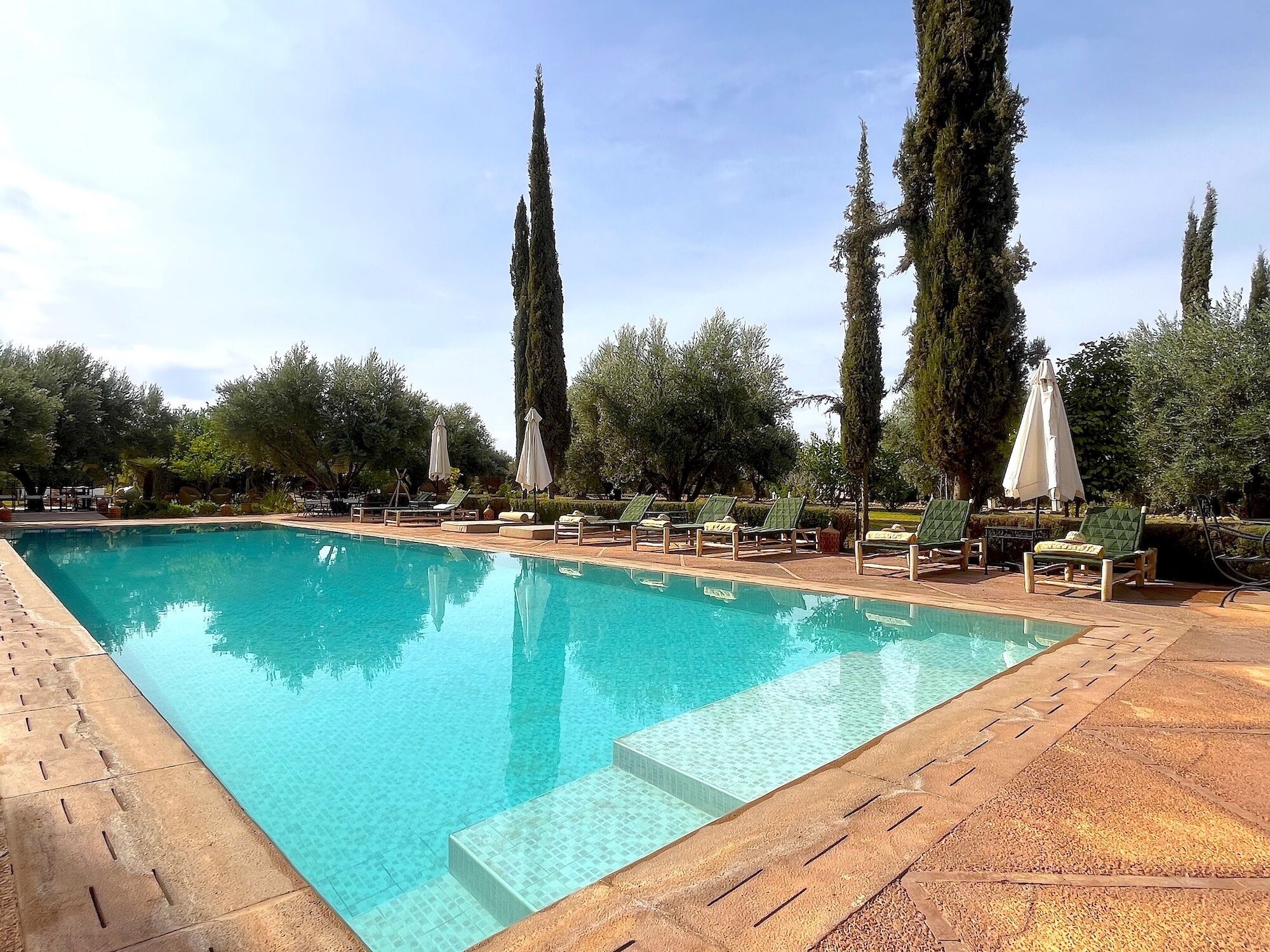 A rectangular swimming pool with clear blue water, surrounded by lounge chairs and umbrellas, and tall trees in the background.