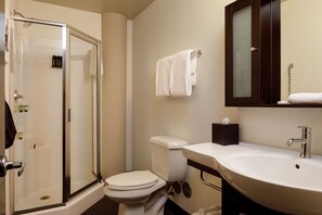 Hair dryer, towels, soap, shampoo