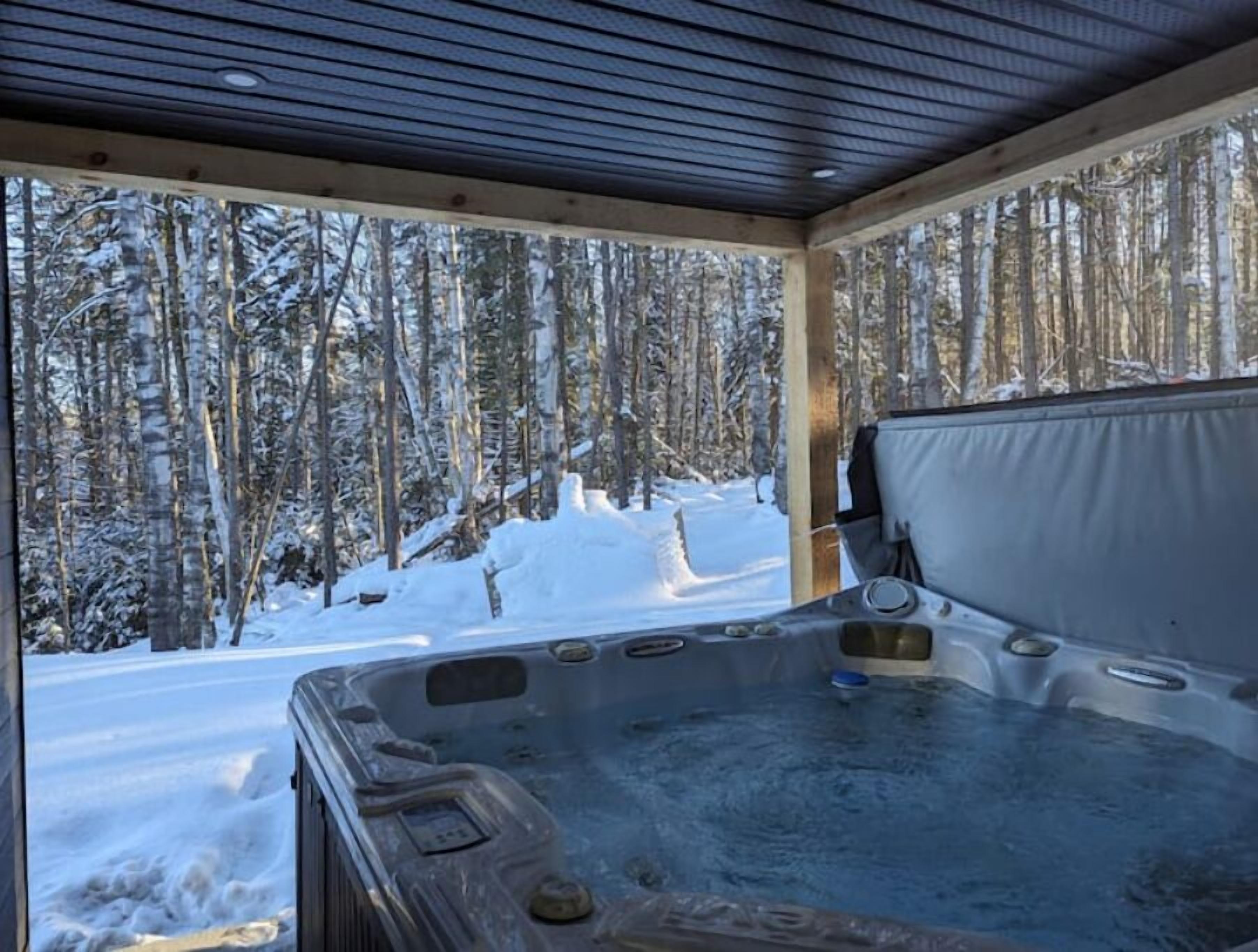 A hot tub with a view of a snowy forest.
