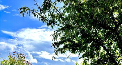 Renovated Cottage in Sherborne With Stunning Views