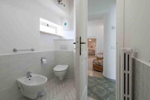 Shower, hair dryer, bidet, towels